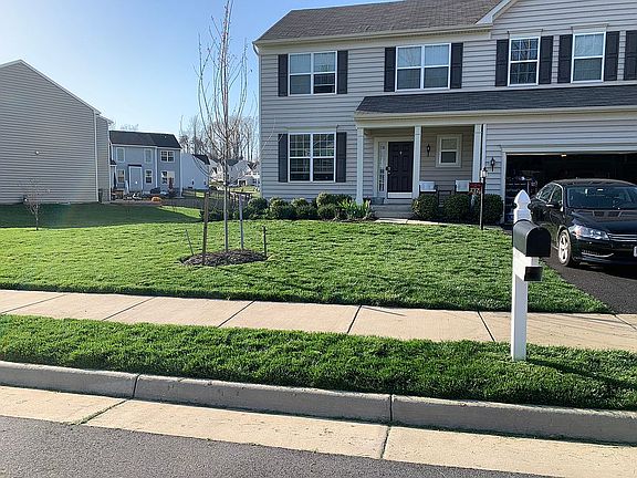 Fully renovated lawn!