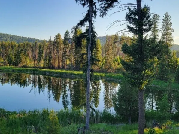 281 Daisy Ln, Seeley Lake, MT 59868