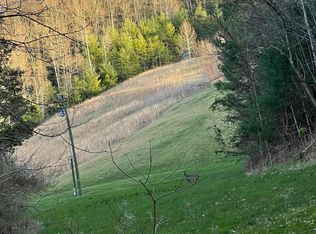 Daddy Moore Rd, Unicoi, TN 37692
