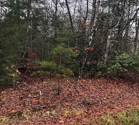 5th image of 143 Laswell Ln