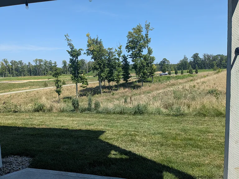 View from walkout patio,