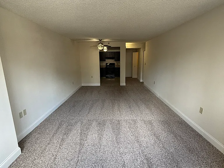 The Apartments at Charles Plaza — Photo 7