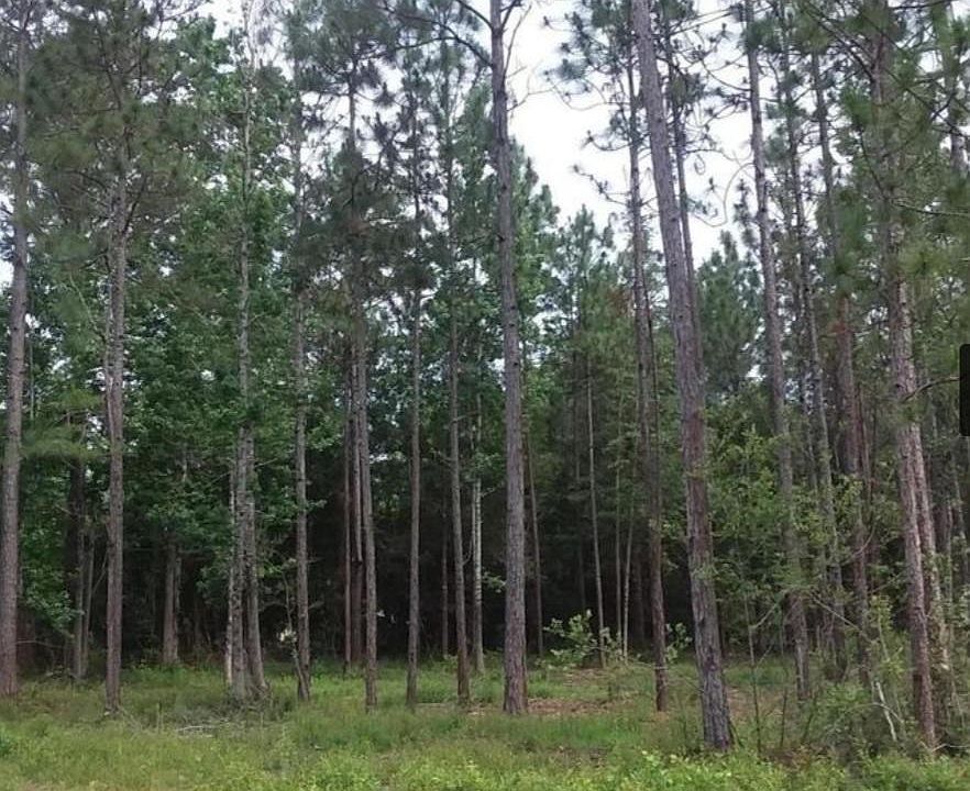2nd image of 0 White Star Rd