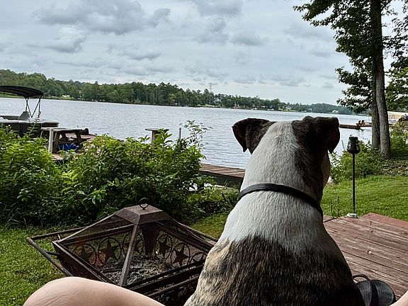 4th image of 221 Lyman Lake Rd