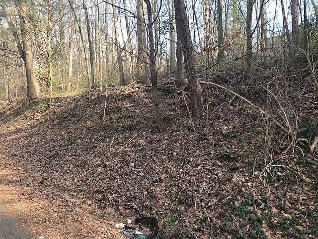 2nd image of 419 Crest Dr SW