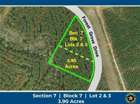 15457 Forest Grove Dr Lot 2 & 3, Willis, TX 77378