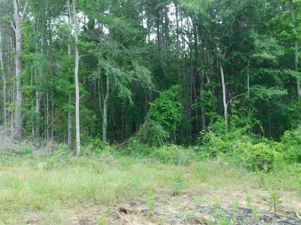 Tbd Groundhog Rd, Gilmer, TX 75644