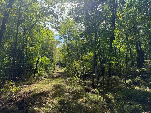 A Sand Creek Rd, Bruno, MN 55712