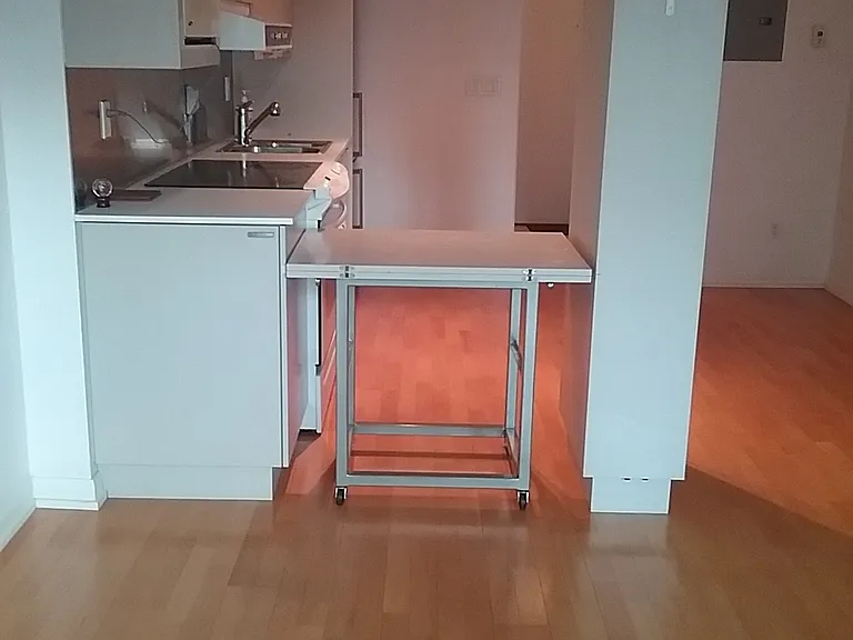 111 Elizabeth St #828 — Photo 5