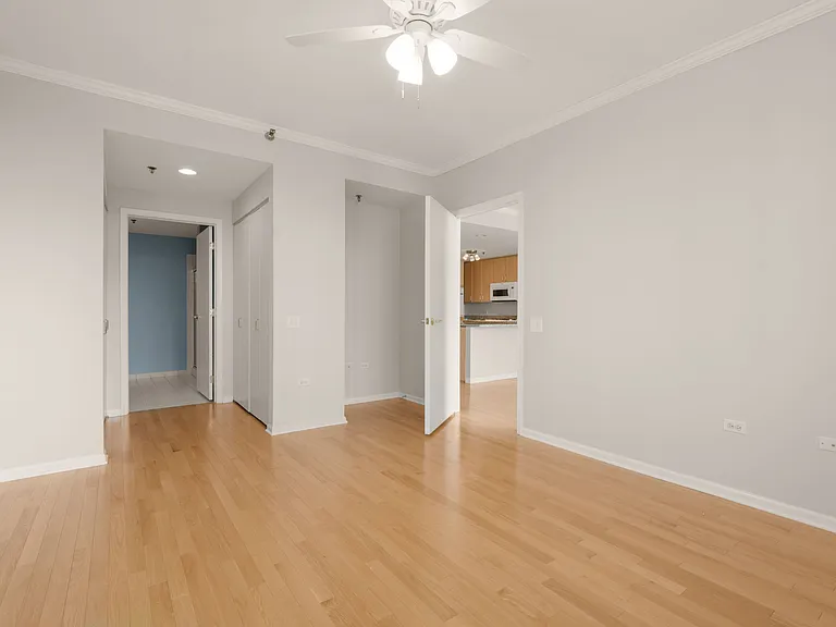 1515 S Prairie Ave #705 — Photo 11