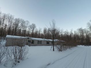 12374 Deer Trl, Wolverine, MI 49799