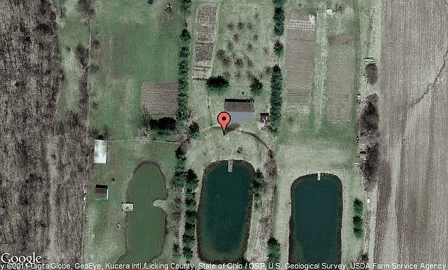 Map View