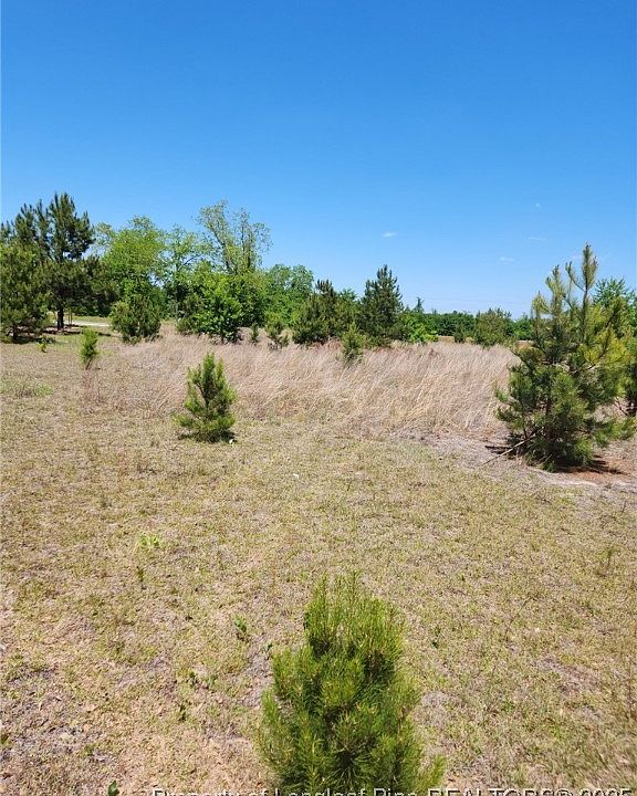 2nd image of Blue Springs Rd