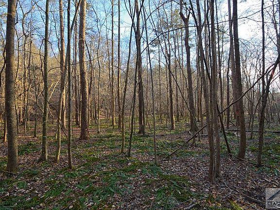2nd image of 0 Carson Segars Road