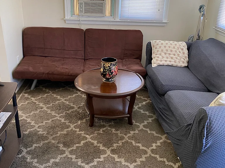 Pine Ter — Photo 8