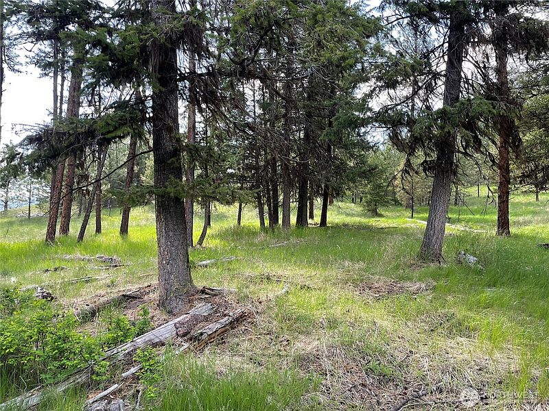 2nd image of 111 TBD Sunrise Rd