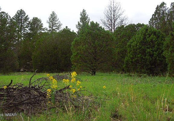 4th image of Tbd Cr 2109