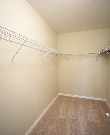 13107 Canopy Creek Dr — Photo 7