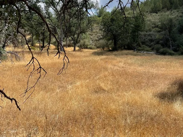 10217 Holtzel Rd, Coulterville, CA 95311