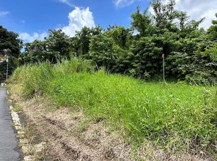 Carr 956 Km 10.2 Guzman Arriba Wd, Rio Grande, PR 00745