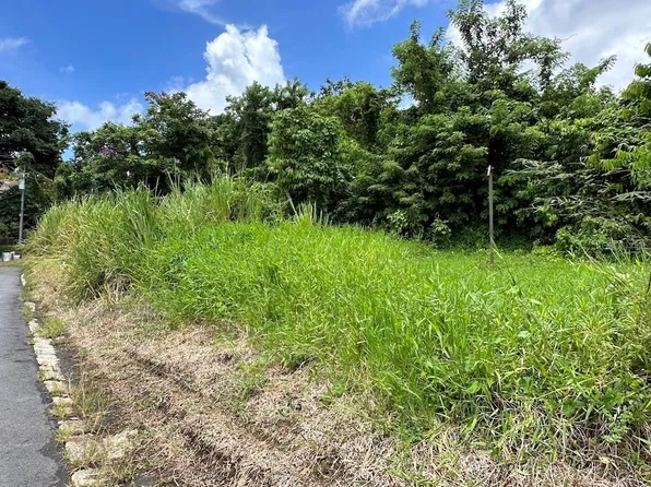 Carr 956 Km 10.2 Guzman Arriba Wd, Rio Grande, PR 00745