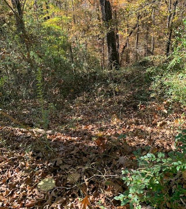 4625 County Highway 47, Brilliant, AL 35548 Zillow