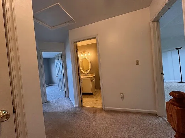 305 S Oak St — Photo 20