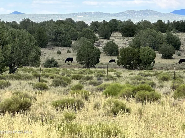 73A Off Of Ave, Ash Fork, AZ 86320