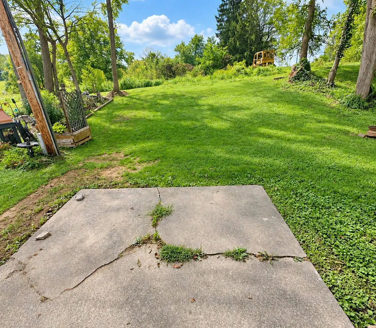 2654 Boggs Road - 1 — Photo 4