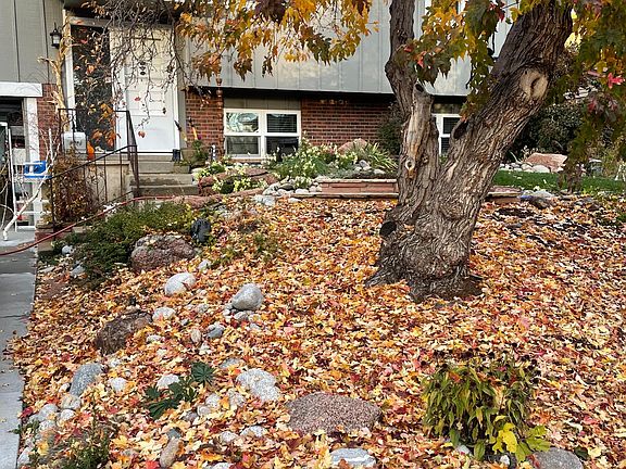 Beautiful fall colors