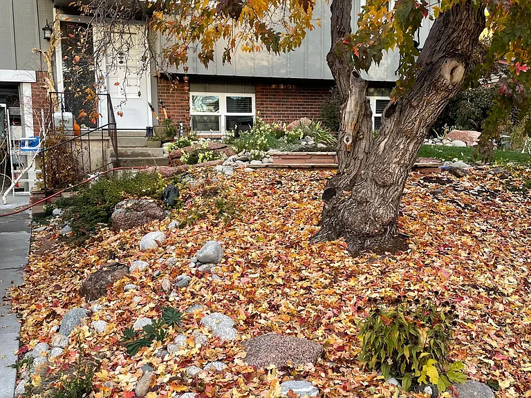 Beautiful fall colors
