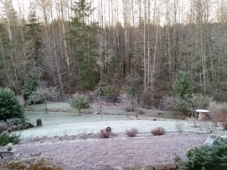 Frost rests on the back yard