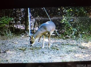 249 Nevada, Prescott, AR 71857