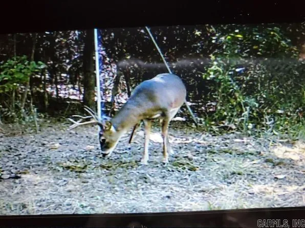 249 Nevada, Prescott, AR 71857