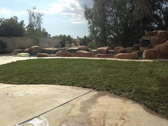 Back yard