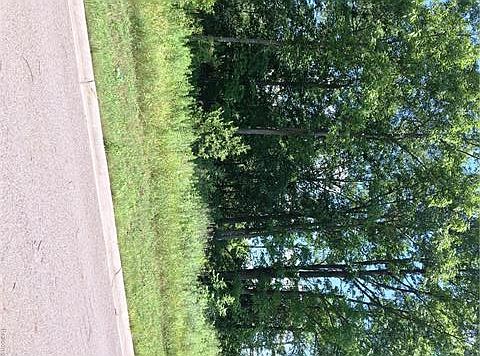 2nd image of 12425 Wolfberry Dr