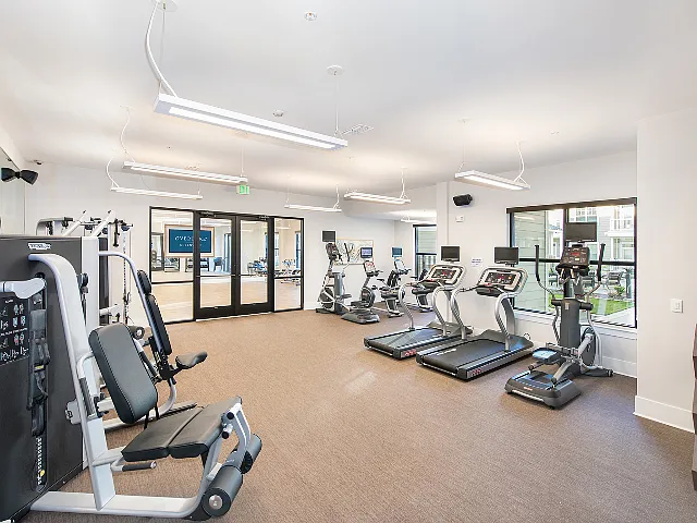 Flex - Fitness Center