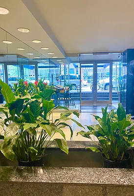 Rented by Bond New York | media 41