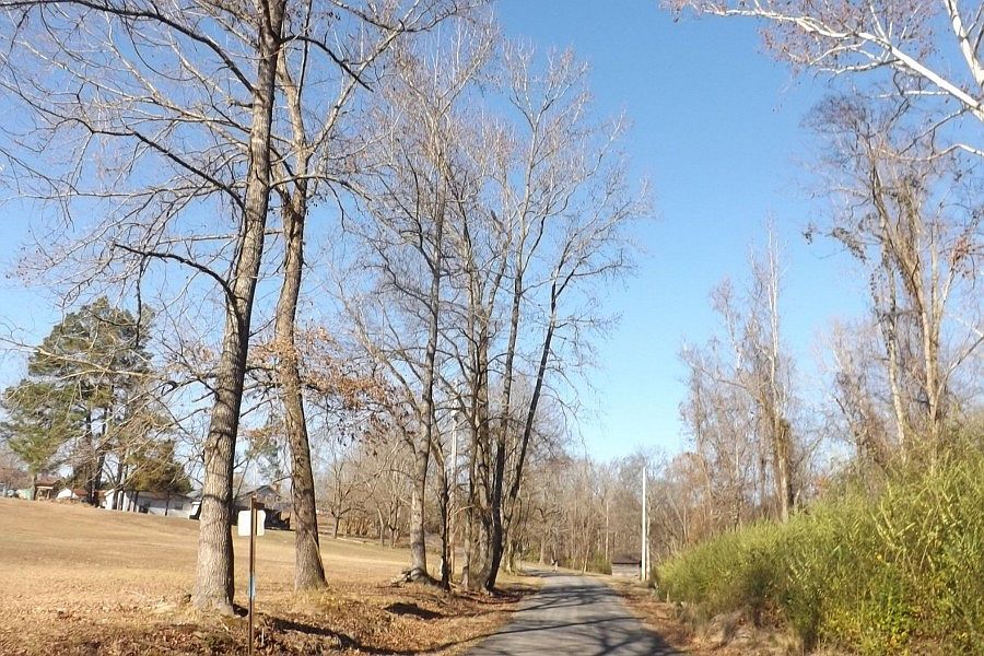 2nd image of 1906 Pleasant Run Rd
