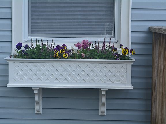 window boxes