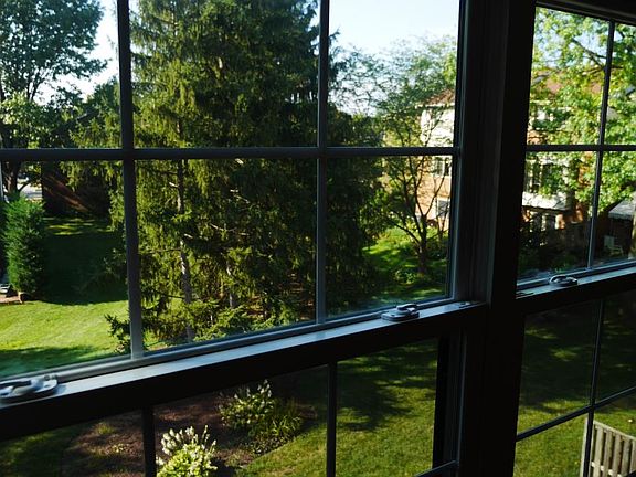 A view of the backyard