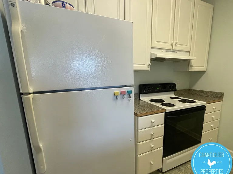 701 Copperline Dr #1-303 — Photo 3