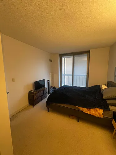 222 N Columbus Dr #2907 Photo 1