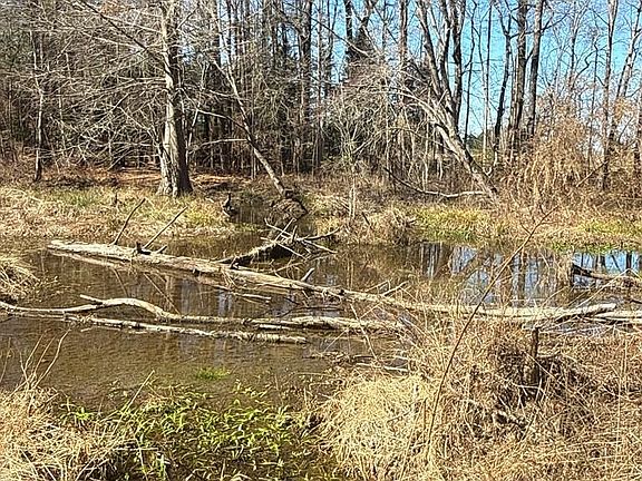 5th image of County Road 1784