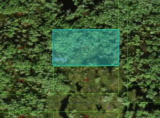 Commonwealth Ave N, Polk City, FL 33868