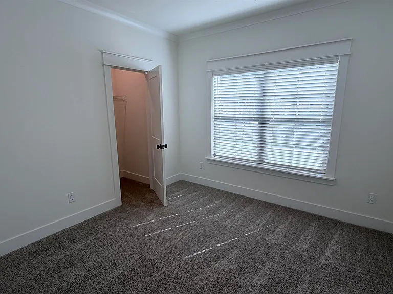 531 Bristleleaf Path — Photo 11