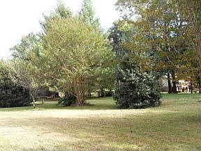 2nd image of 1269 Green Meadows Dr