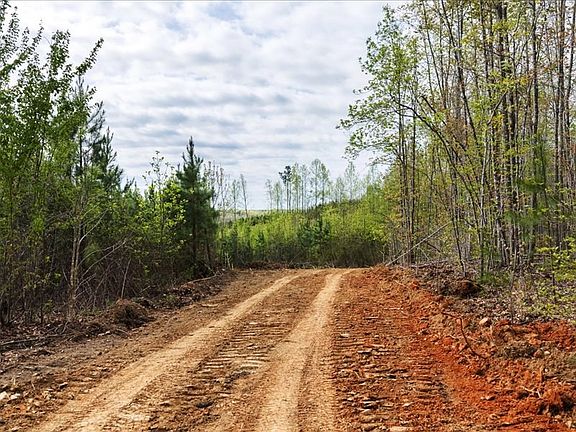 4th image of Cutbanks Rd