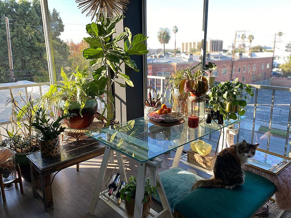 Lovely sunny morning area