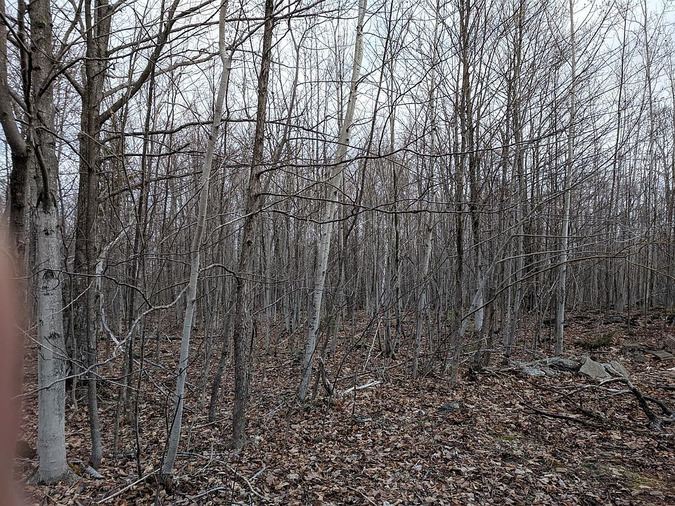 1st image of Long Lake Hwy